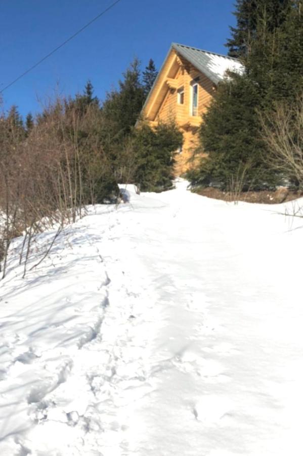 Alpenchalet Grabner Alm Am Praebichl Almhauser 외부 사진