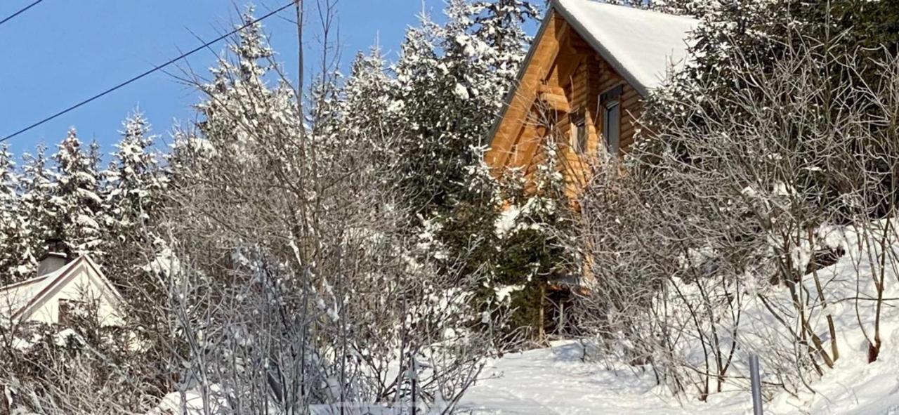 Alpenchalet Grabner Alm Am Praebichl Almhauser 외부 사진