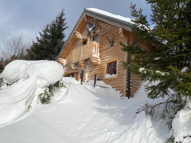 Alpenchalet Grabner Alm Am Praebichl Almhauser 외부 사진