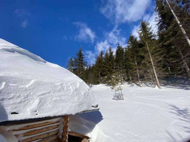 Alpenchalet Grabner Alm Am Praebichl Almhauser 외부 사진